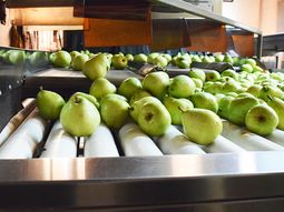 Los empresarios cerraron otra partitaria, hoy con los trabajadores de los galpones de empaque. Los empresarios cerraron otra partitaria, hoy con los trabajadores de los galpones de empaque.