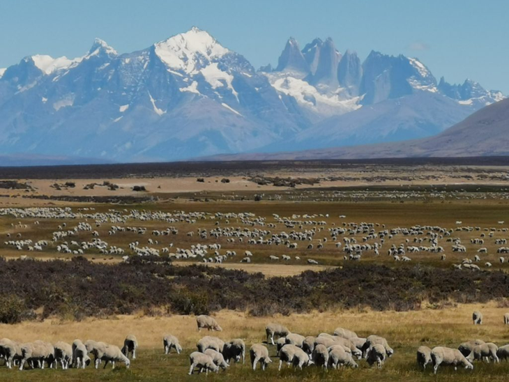 Los derechos de carbono definen qui&eacute;n recibe los beneficios por captura de emisiones de GEI. Foto: OVIS 21