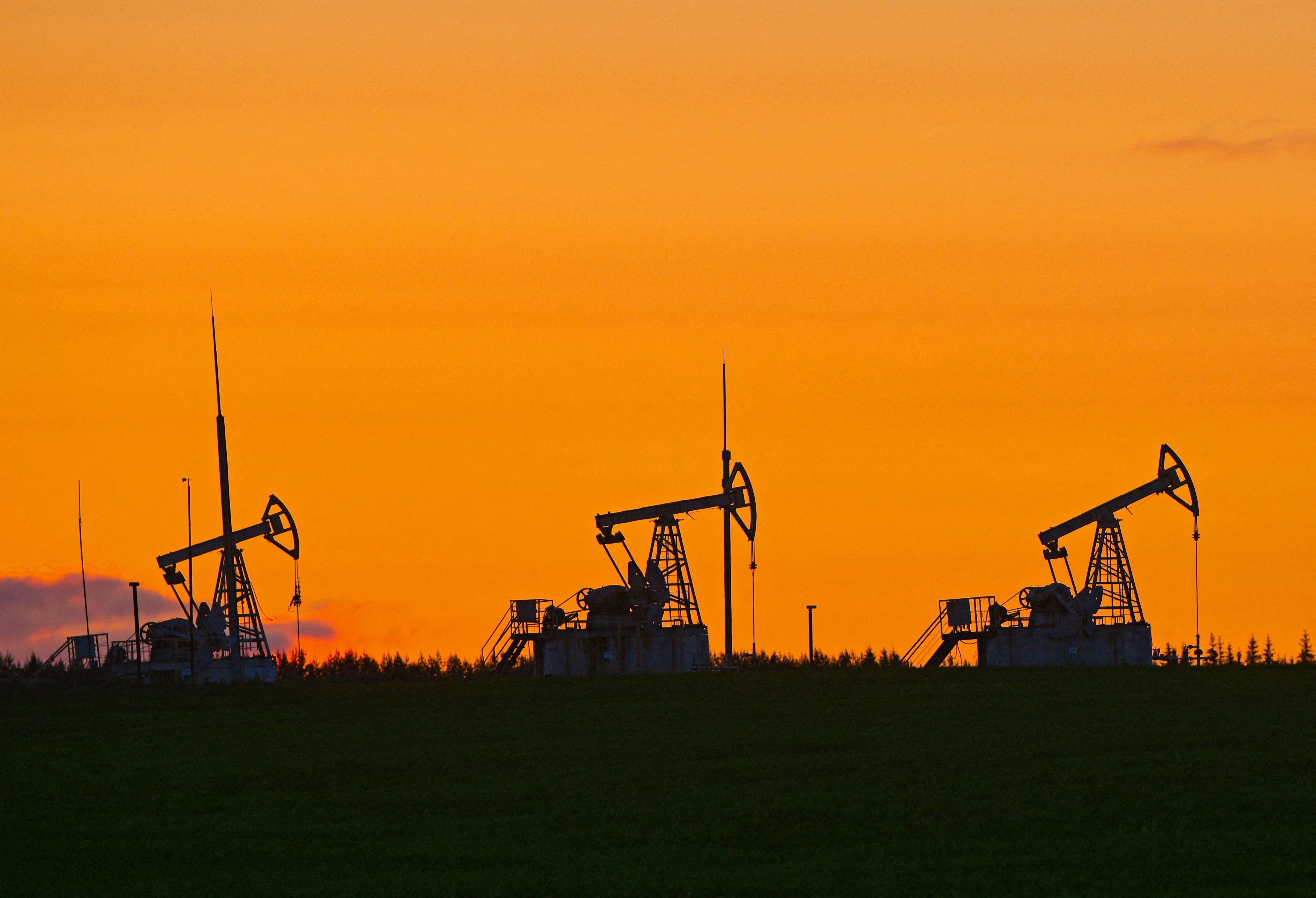 FOTO DE ARCHIVO: Las proyecciones de la OPEP marcan que la producción de petróleo no alcanzará su pico en 2030. REUTERS/Alexander Manzyuk