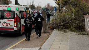 La caída de una rama habría lesionado a una joven estudiante en Leloir al 80. | LM Neuquen La caída de una rama habría lesionado a una joven estudiante en Leloir al 80.