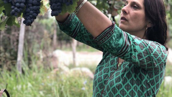 Los vinos naturales siguen creciendo desde Mendoza