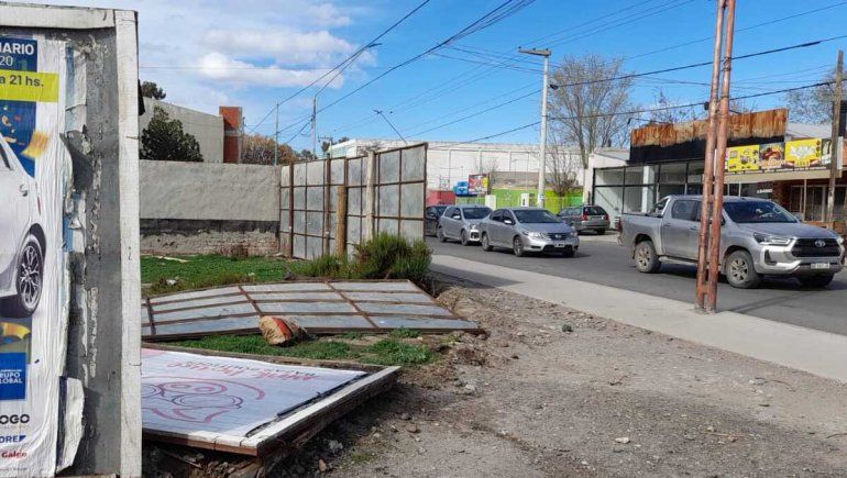 Una alameda, postes de telefonía y carteles cayeron por el viento