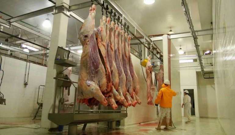 Multaron a un frigorífico por tirar desechos a un canal