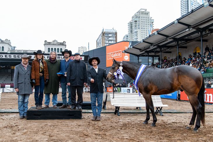 Los caballos están en Brandsen y General Las Heras, en Buenos Aires. Foto: gentileza. Los caballos están en Brandsen y General Las Heras, en Buenos Aires. Foto: gentileza.