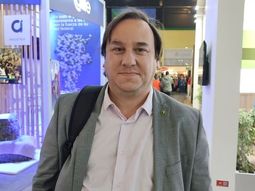 hay incertidumbre en el futuro de los feedlots hay incertidumbre en el futuro de los feedlots