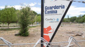 Parece abrirse un camino de esperanza para los cientos de canes alojados en la perrera de la Isla Jordán. Ojalá que los objetivos se cumplan. Parece abrirse un camino de esperanza para los cientos de canes alojados en la perrera de la Isla Jordán. Ojalá que los objetivos se cumplan.