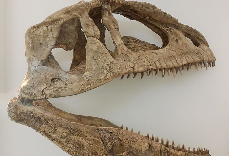 Se trata de uno de los museos más avanzados del país.