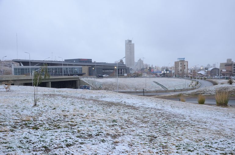 Las mejores fotos de la nieve en Neuquén: cubierta de blanco, así está la ciudad