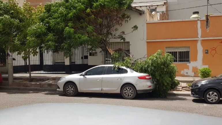 El viento ya generó destrozos: se voló un techo y se cayeron árboles y postes