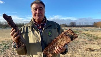 transforma el desecho de las jugueras del alto valle en lena transforma el desecho de las jugueras del alto valle en lena