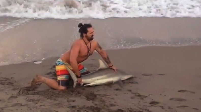 ¡No aprenden más! Ahora sacaron un tiburón para tomarse una foto