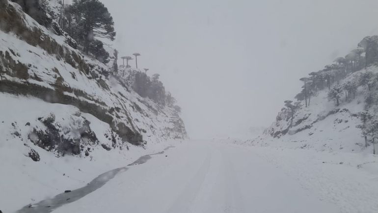 Paso Pino Hachado.&nbsp;