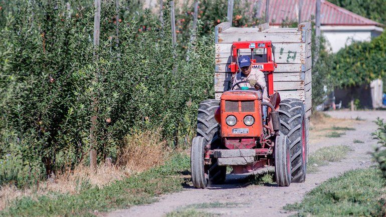Deudas con la AFIP dejan a chacareros al borde del remate
