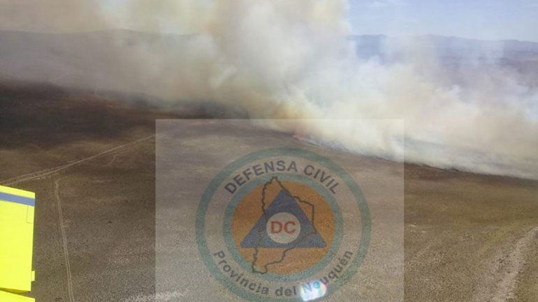 Combaten incendio forestal que ya consumió 1.000 hectáreas en Junín