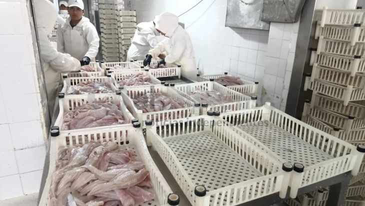 Impacto ambiental: La biomasa de merluza cayó de 50.000 a 20.000 toneladas tras años de excesos en las políticas de pesca. Impacto ambiental: La biomasa de merluza cayó de 50.000 a 20.000 toneladas tras años de excesos en las políticas de pesca.