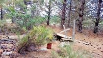 El cementerio mapuche en Villa Pehuenia, en las tierras del exjuz federal Pedro Duarte.