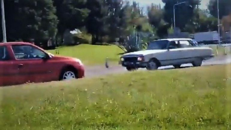 Para esquivar a la Policía se metió en contramano por la Ruta 22