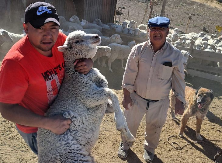 "Si nos ofrecían menos, no vendíamos", dijeron. Foto: Fabricio González. "Si nos ofrecían menos, no vendíamos", dijeron. Foto: Fabricio González.