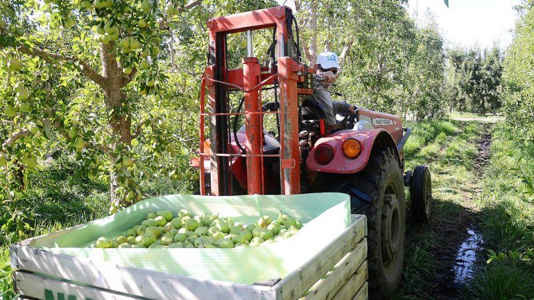Bajos precios y ofertas de palabra para los chacareros