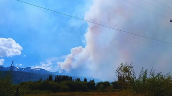 Recomendaciones agroforestales para recuperar los suelos patagónicos. Foto: INTA