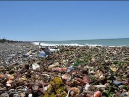 El último fin de semana la costa de Playa Unión apareció llena de desechos de la pesca. El último fin de semana la costa de Playa Unión apareció llena de desechos de la pesca.