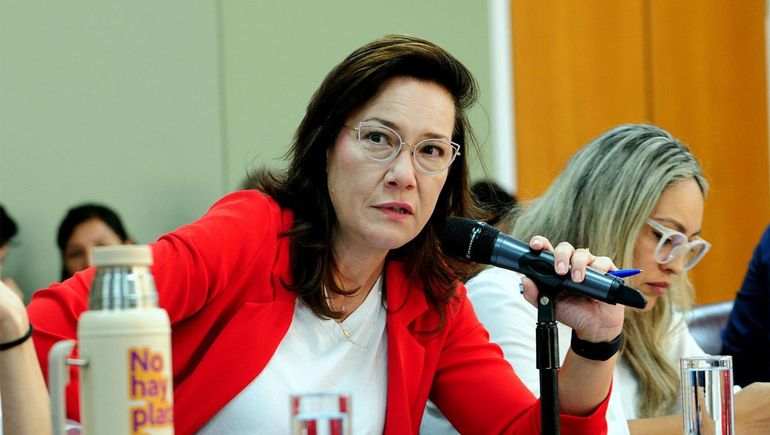 La diputada provincial por Cumplir-La Libertad Avanza.