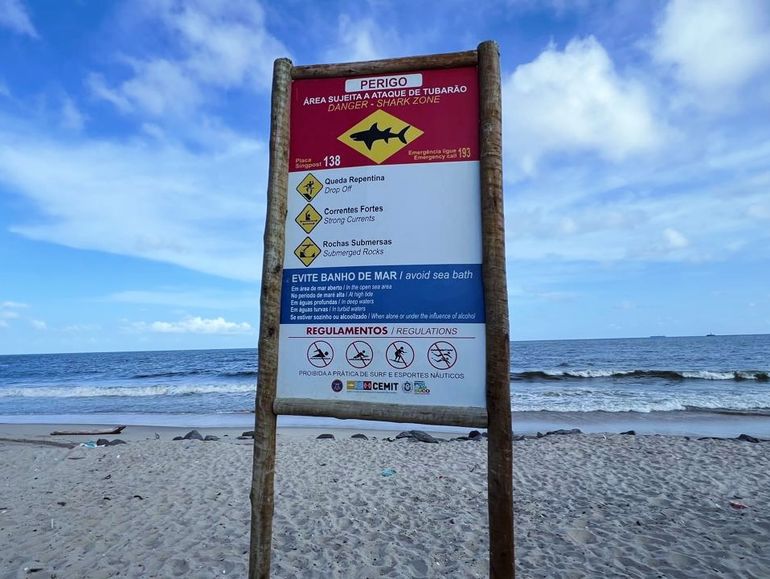 Las playas de Pernambuco, en Brasil, cuentan con 150 carteles de prevención ante la posibilidad de ataques de tiburones Las playas de Pernambuco, en Brasil, cuentan con 150 carteles de prevención ante la posibilidad de ataques de tiburones