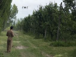 Con foco en la inocuidad y la competitividad, la plataforma analiza plaguicidas, tiempos de carencia y requisitos internacionales para la fruticultura del Alto Valle. Con foco en la inocuidad y la competitividad, la plataforma analiza plaguicidas, tiempos de carencia y requisitos internacionales para la fruticultura del Alto Valle.