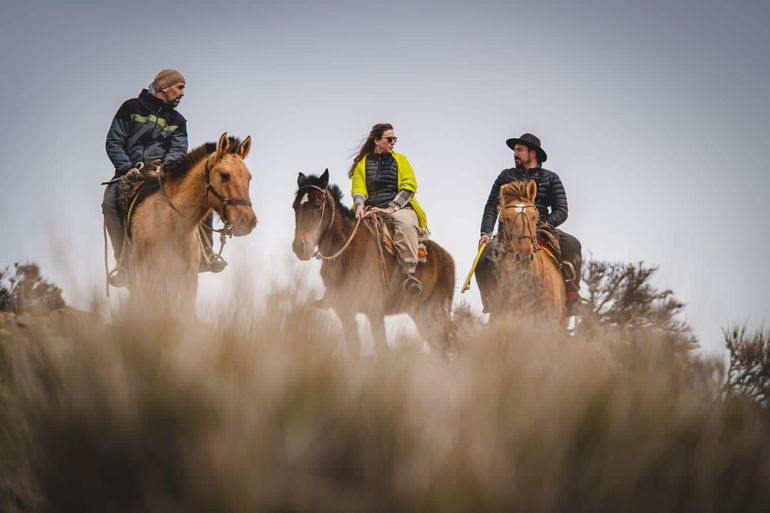 Los arreos de la trashumancia, uno de los propuestas que se presentó en la Feria Internacional de Turismo. Los arreos de la trashumancia, uno de los propuestas que se presentó en la Feria Internacional de Turismo.