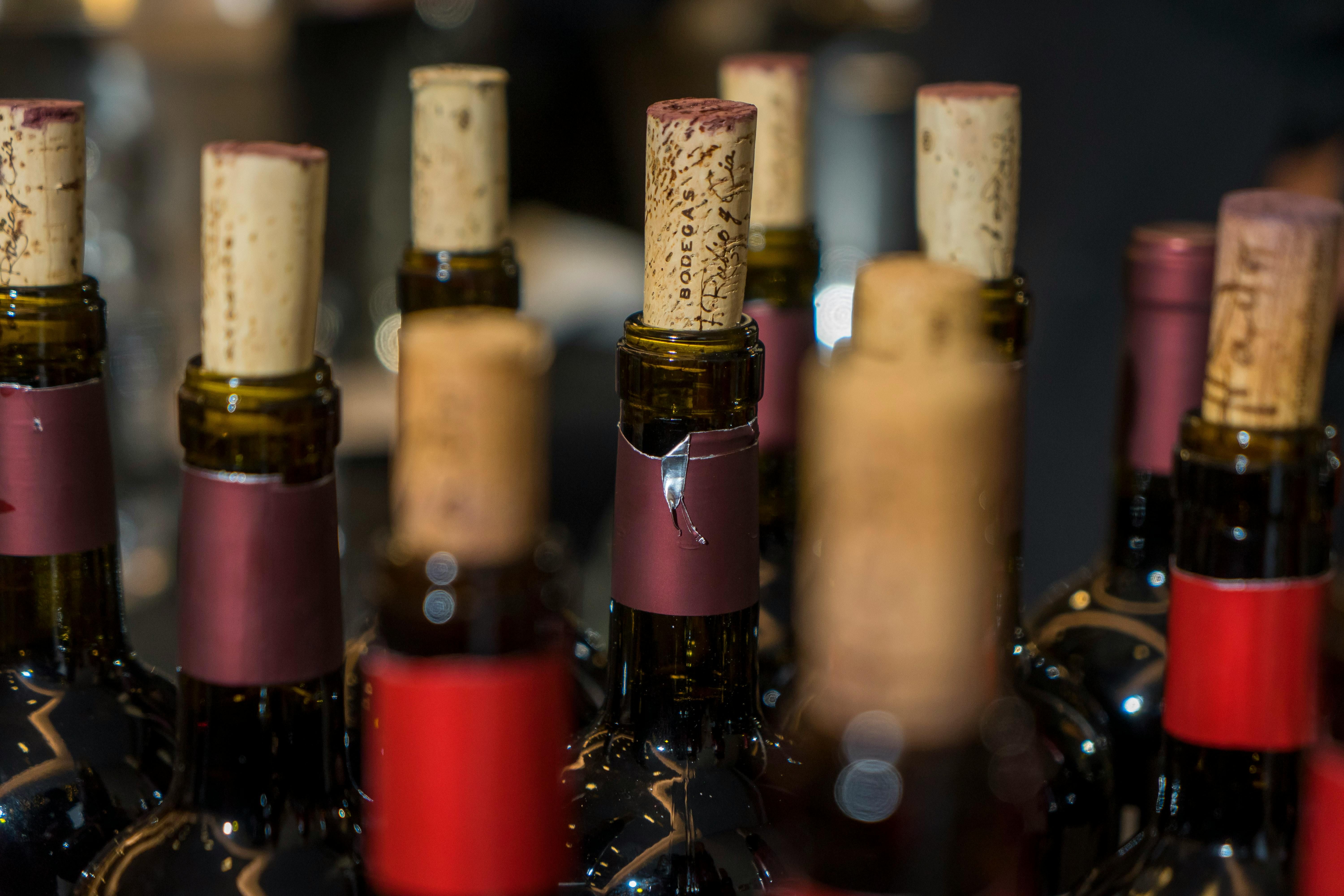 Las exportaciones de vino siguen en alza.