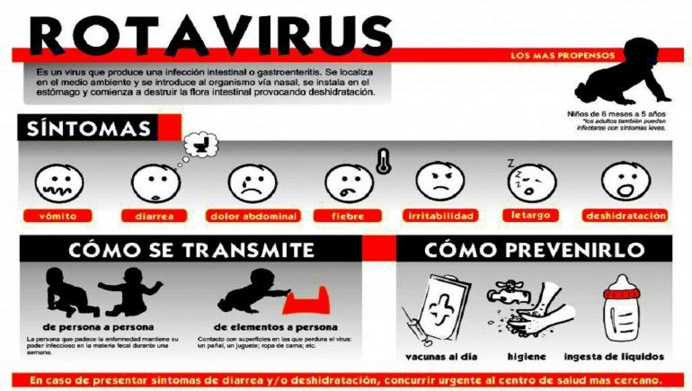 El norovirus y el rotavirus se pueden prevenir de la misma forma.