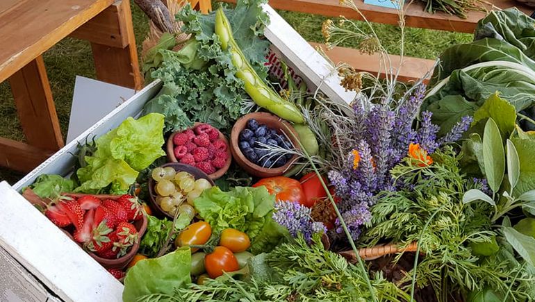 Recomendaciones para disfrutar de unas fiestas saludables