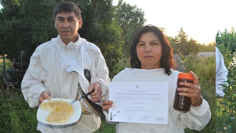 Apicultores producen miel de abejas rescatadas