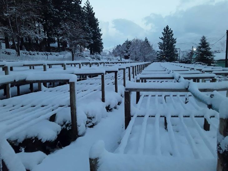 La postal del invierno en el vivero. Foto: gentileza