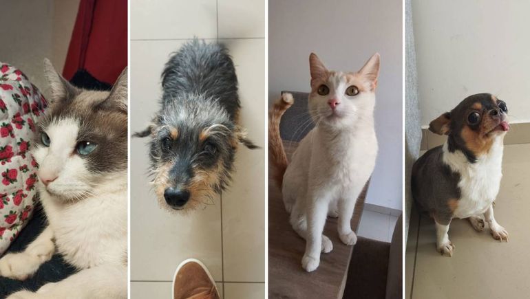 Gabriela Uribe dice que realiza un servicio a domicilio personalizado. Gabriela Uribe dice que realiza un servicio a domicilio personalizado.