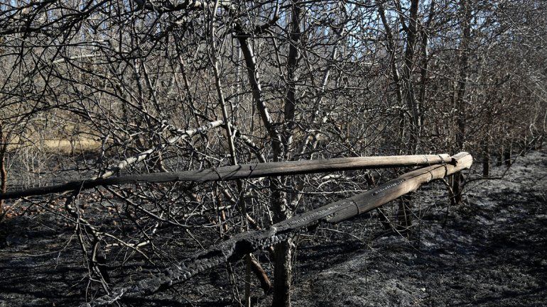 Los Bomberos no dan abasto con los incendios de pastizales en Centenario