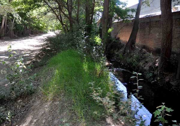 Indagan a soldado por abuso sexual