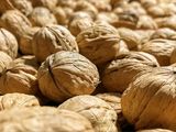 La industria proyecta una cosecha cercana a las 165 mil toneladas en 2026, mientras el mercado internacional presiona los precios de la nuez partida y fortalece la demanda por nuez con cáscara.