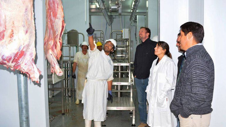 El matadero de Andacollo ya comenzó a faenar