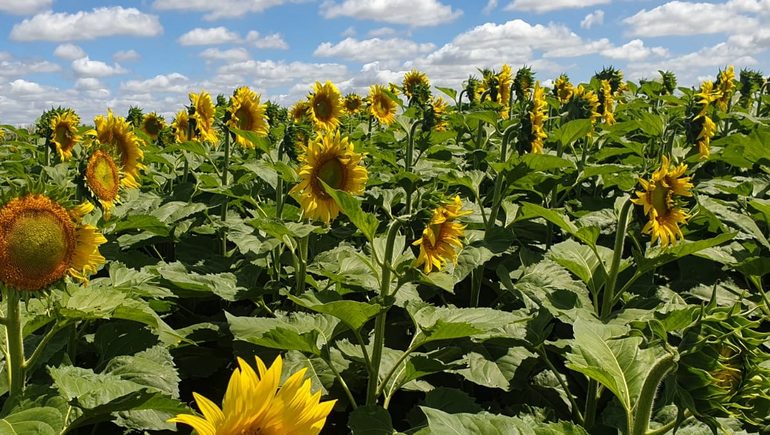 Explican las causas del aumento en inundaciones