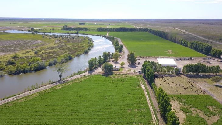 El proyecto que pasó del abandono a producir carne de calidad gracias al manejo del agua y la innovación. El proyecto que pasó del abandono a producir carne de calidad gracias al manejo del agua y la innovación.