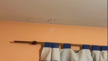 El balazo pegó en el techo de la casa de barrio Belgrano / Foto Gentileza El balazo pegó en el techo de la casa de barrio Belgrano / Foto Gentileza