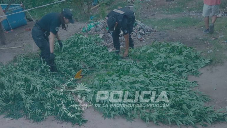 Durante el allanamiento