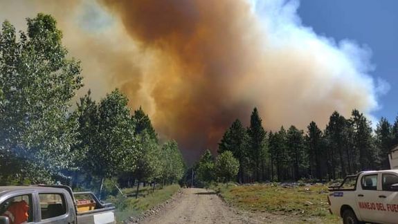 Por el incendio en Quillén decretan la emergencia ígnea en la provincia