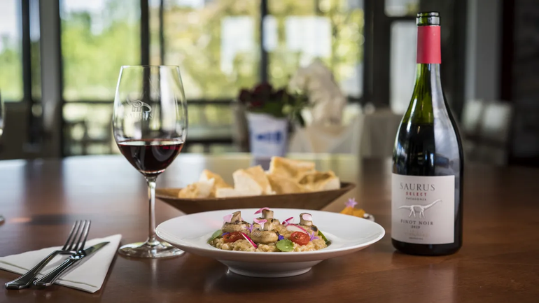 El Pinot Noir Saurus Select de Familia Schroeder. El Pinot Noir Saurus Select de Familia Schroeder.