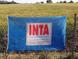 El INTA triplicó su cantidad de personal desde 2003, cuando contaba con 3.500 agentes. El INTA triplicó su cantidad de personal desde 2003, cuando contaba con 3.500 agentes.