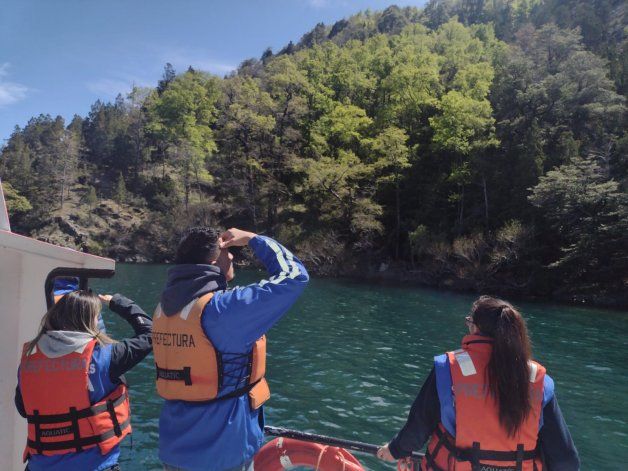 Rastrillan San Martín de los Andes por agua y tierra por un hombre perdido