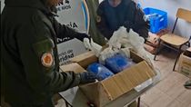 Un hombre de San Martín de los Andes terminó condenado a 4 años de prisión por un frustrado envío de 12 kilos de marihuana. Un hombre de San Martín de los Andes terminó condenado a 4 años de prisión por un frustrado envío de 12 kilos de marihuana.