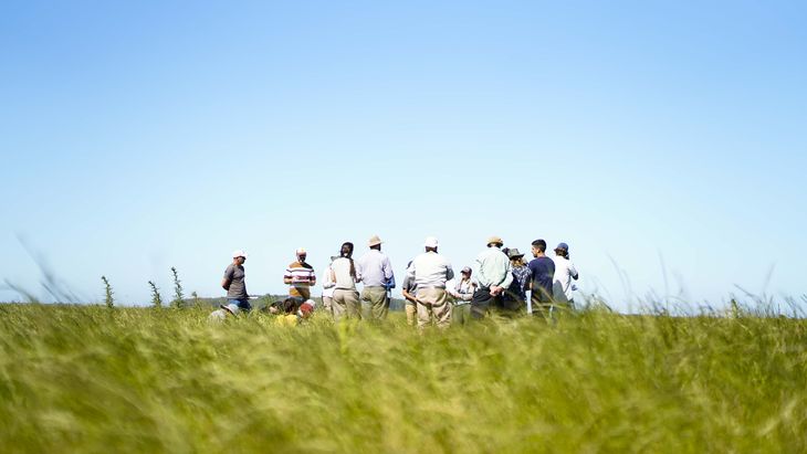 Sudam&eacute;rica certifica m&aacute;s de 200.000 toneladas de carbono removidas en suelos ganaderos