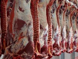 La menor producicón y las tensiones comerciales están impulsando el precio de la carne en el mercado. La menor producicón y las tensiones comerciales están impulsando el precio de la carne en el mercado.
